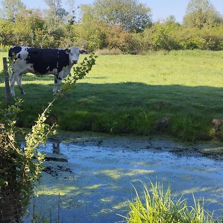 Charmante Maison De Campagne, Avec Jardin, Vue Riviere, 15 Min Cabourg Basseneville Zewnętrze zdjęcie