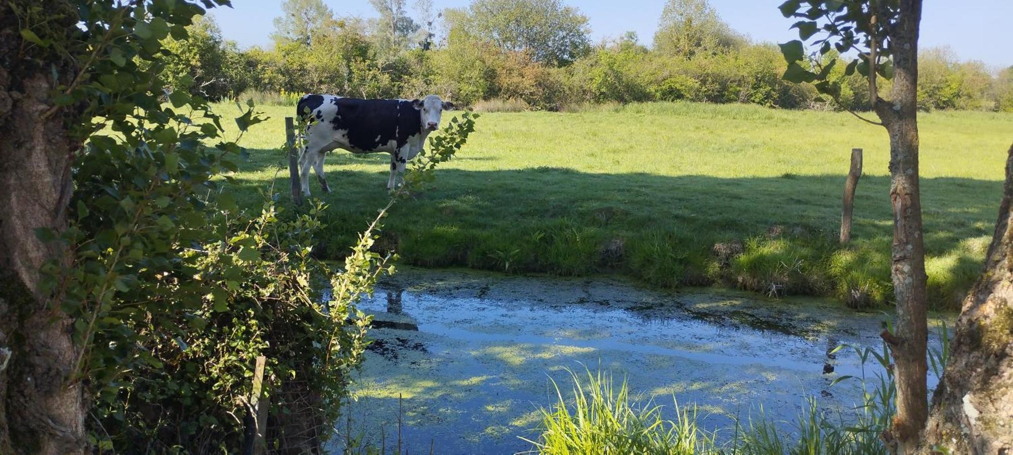 Charmante Maison De Campagne, Avec Jardin, Vue Riviere, 15 Min Cabourg Basseneville Zewnętrze zdjęcie